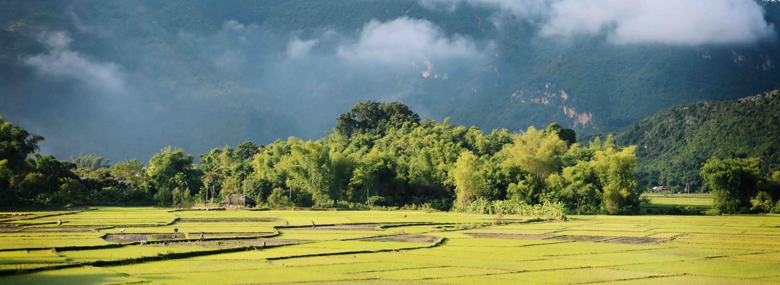 Mai Chau est une vallée charmante où dominent les Thaï depuis des siècles