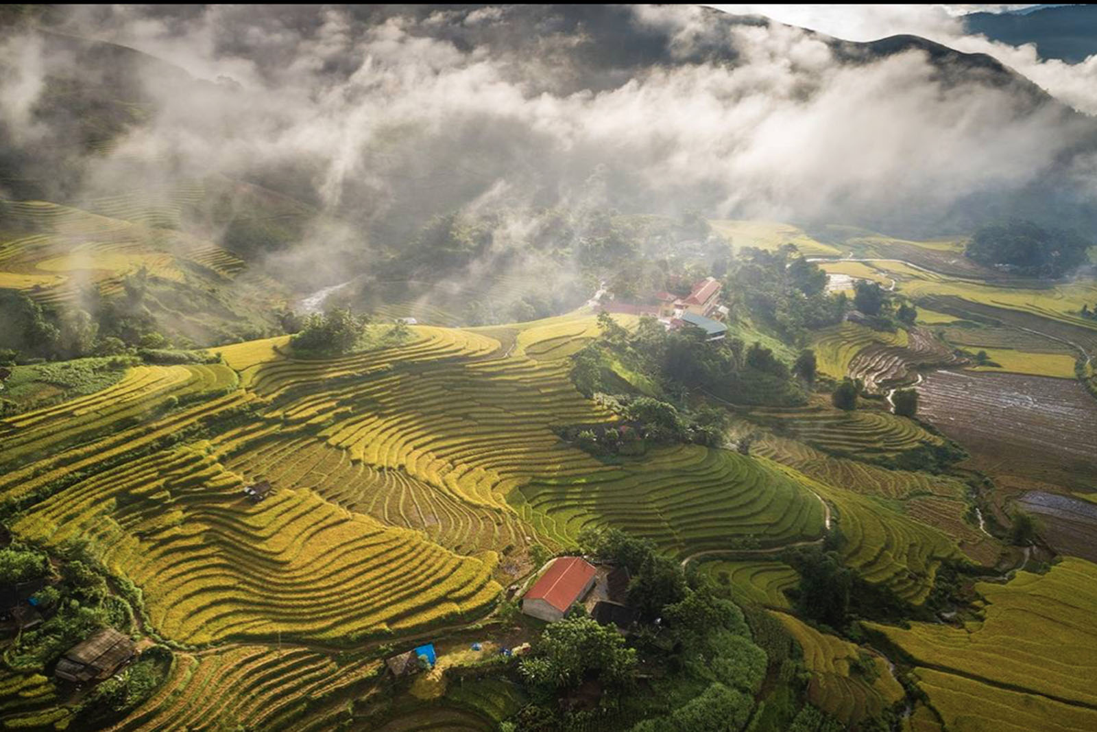 la réserve naturelle de Pu Luong offre des paysages pittoresques avec ses rizières en terrasses