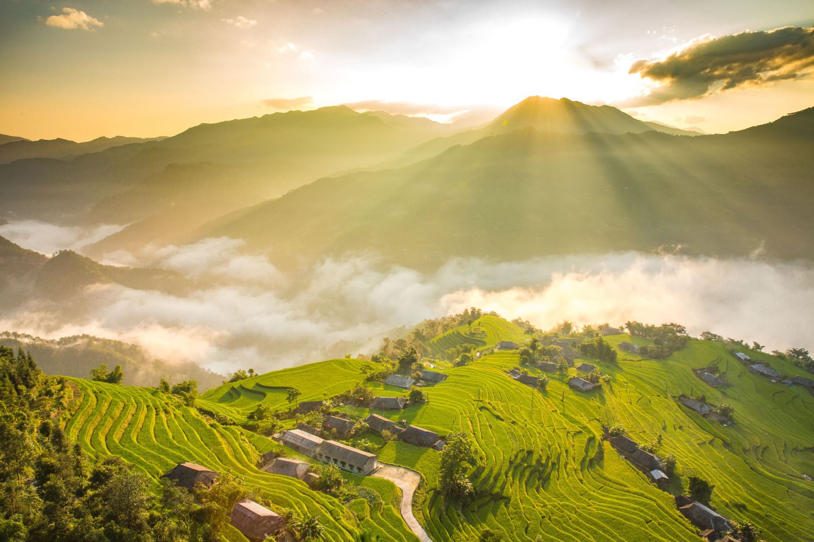 5 des endroits pour profiter les plus belles rizières mûres du Vietnam