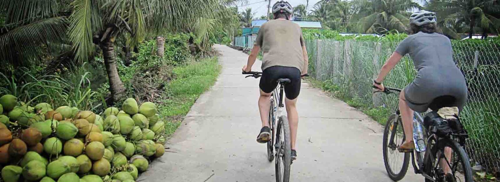 Faire du vélo dans les rizières du delta